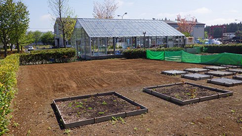 テクニカルセンターの実験圃場（テクニカルセンターには，実験用・温室，実験用法面，実験用立坑などの設備があります）