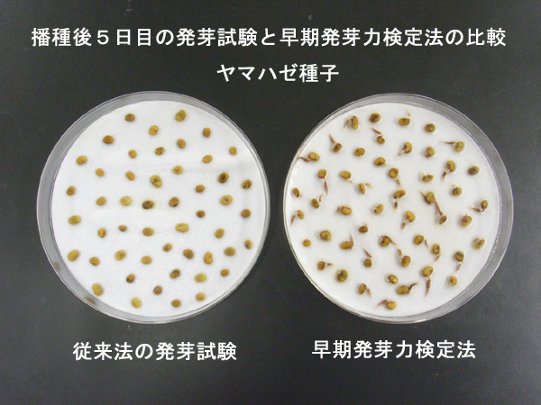 早期発芽力検定法 工法紹介 東興ジオテック株式会社 豊かな生活環境を創造する建設事業