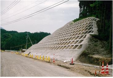 道路法面での事例