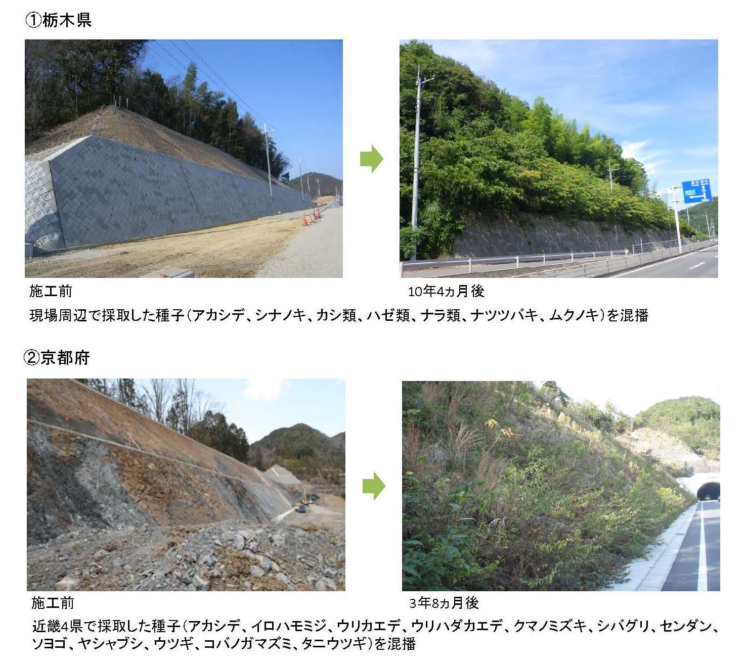 地域性種苗 活用事例 種子 国内産 在来種 種子 準備工 地域性種苗利用工 実績 事例