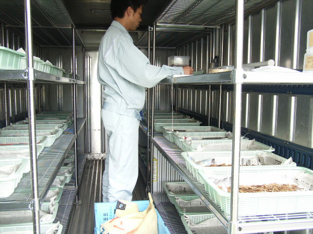準備工　RSセンター　国内産　在来種　種子　調整　地域性種苗　地域性種苗利用工