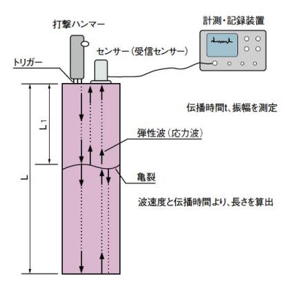 オーリス概念図