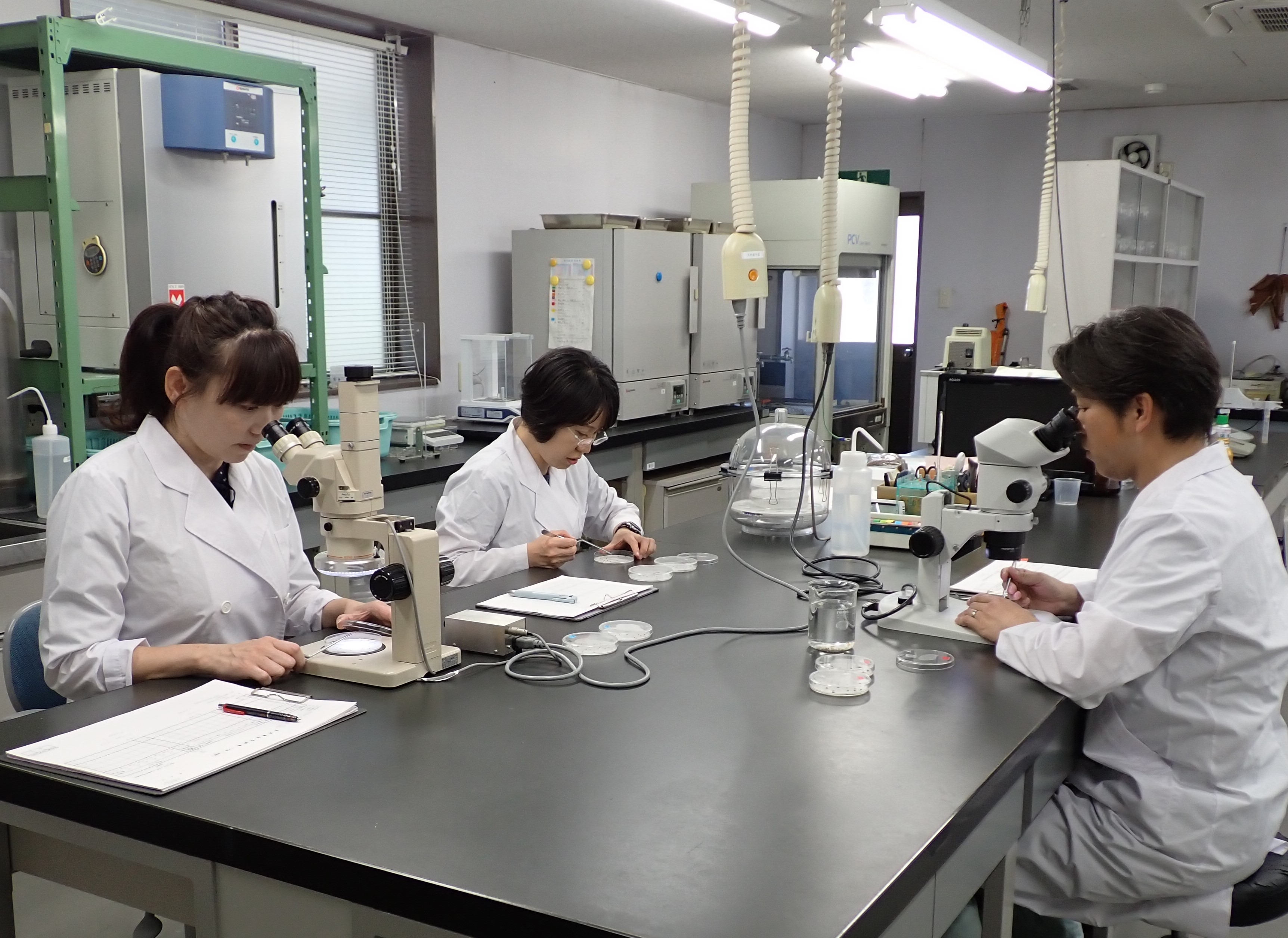 早期発芽力検定法 | 工法紹介 | 東興ジオテック株式会社 豊かな生活