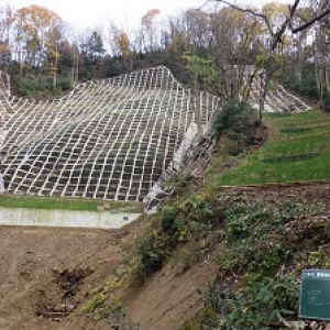 緊急治山山腹ほか工事